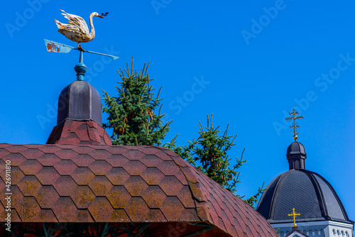 Symbol of a goose with a branch in its beak as an emblem of Truskavets, Ukraine. photo