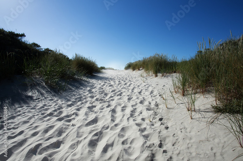 footsteps in dunes