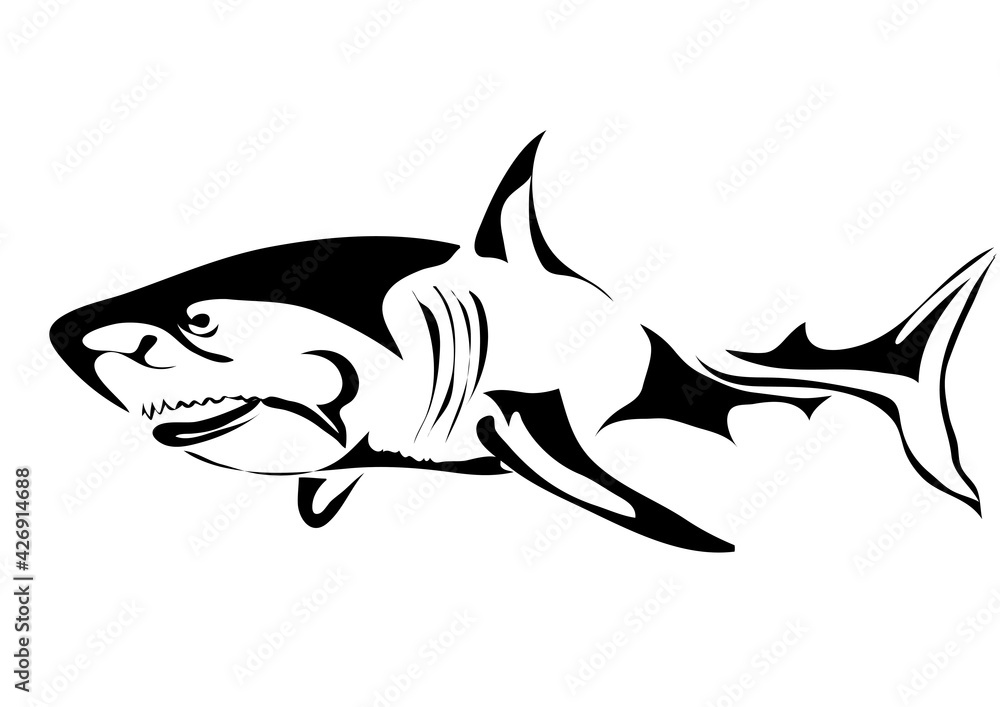 great white shark great white shark