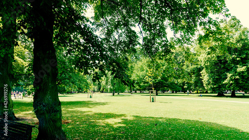 Wallpaper Mural park in the morning Torontodigital.ca