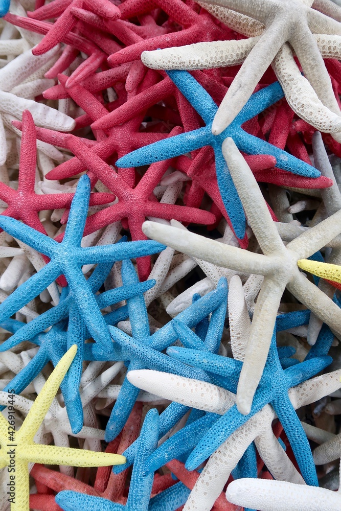 Red, White and Blue Starfish Red, White and Blue Starfish