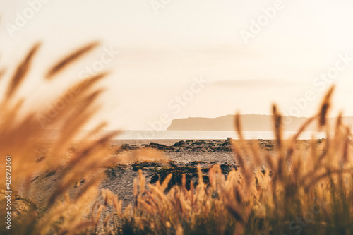 Sunset looking at Point Loma and Cabrillo National Monument from Coronado Island, California