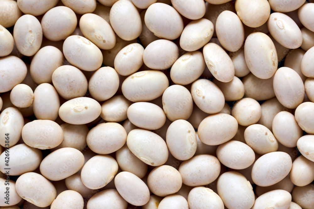 White bean texture background macro closeup. Concept of healthy eating protein diet and vegetarianism. White bean texture background macro closeup. Concept of healthy eating protein diet and vegetarianism.