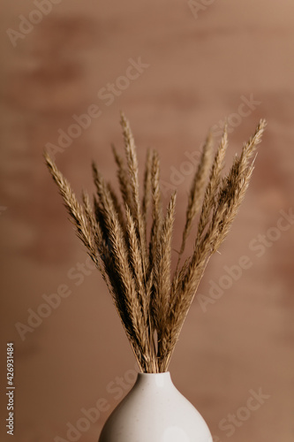 Brown wild dried flower marram grass in white ceramic vase closeup on pastel brown background	