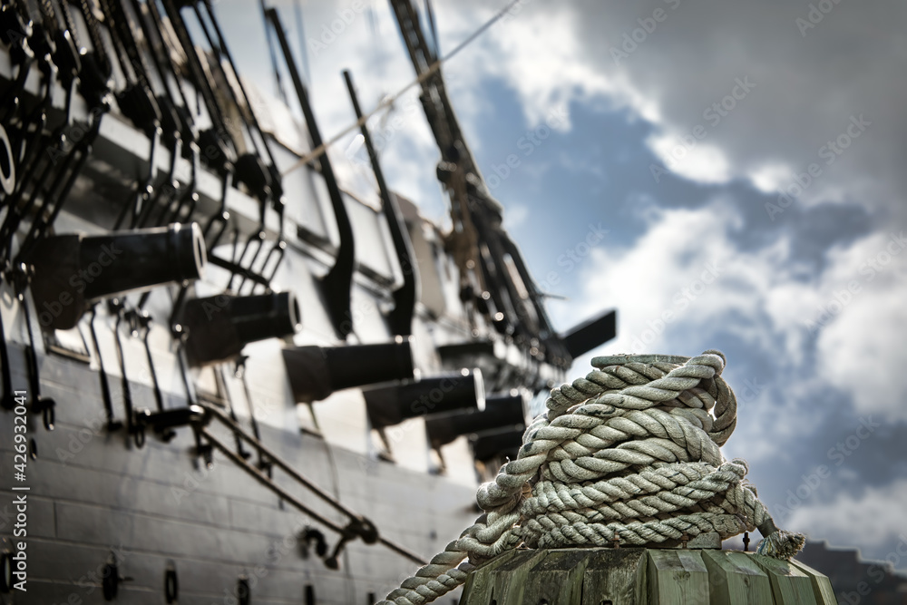 Obraz premium Connie 2