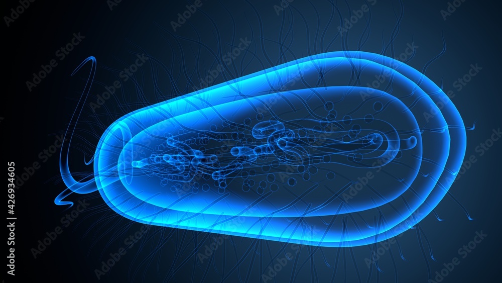 3D illustration of E coli Bacteria Shapes Anatomy. 3D illustration of E coli Bacteria Shapes Anatomy.