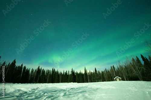 Aurora Borealis - Northern Lights in the sky's of Alaska Interior
