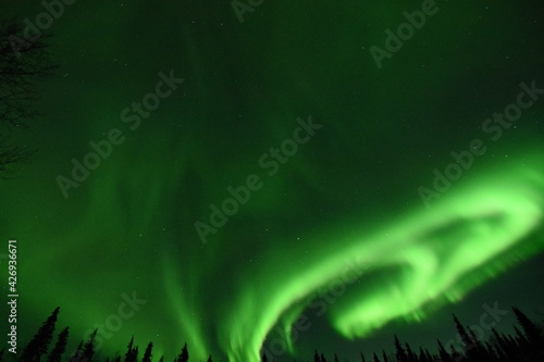 Aurora Borealis - Northern Lights in the sky's of Alaska Interior