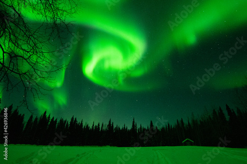 Aurora Borealis - Northern Lights in the sky's of Alaska Interior
