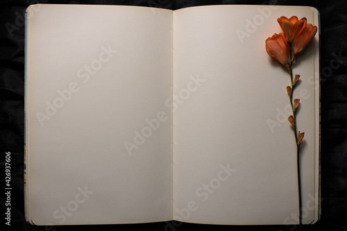 Canvas Print Open book with orange freesia flower resting on empty blank page against a black background
