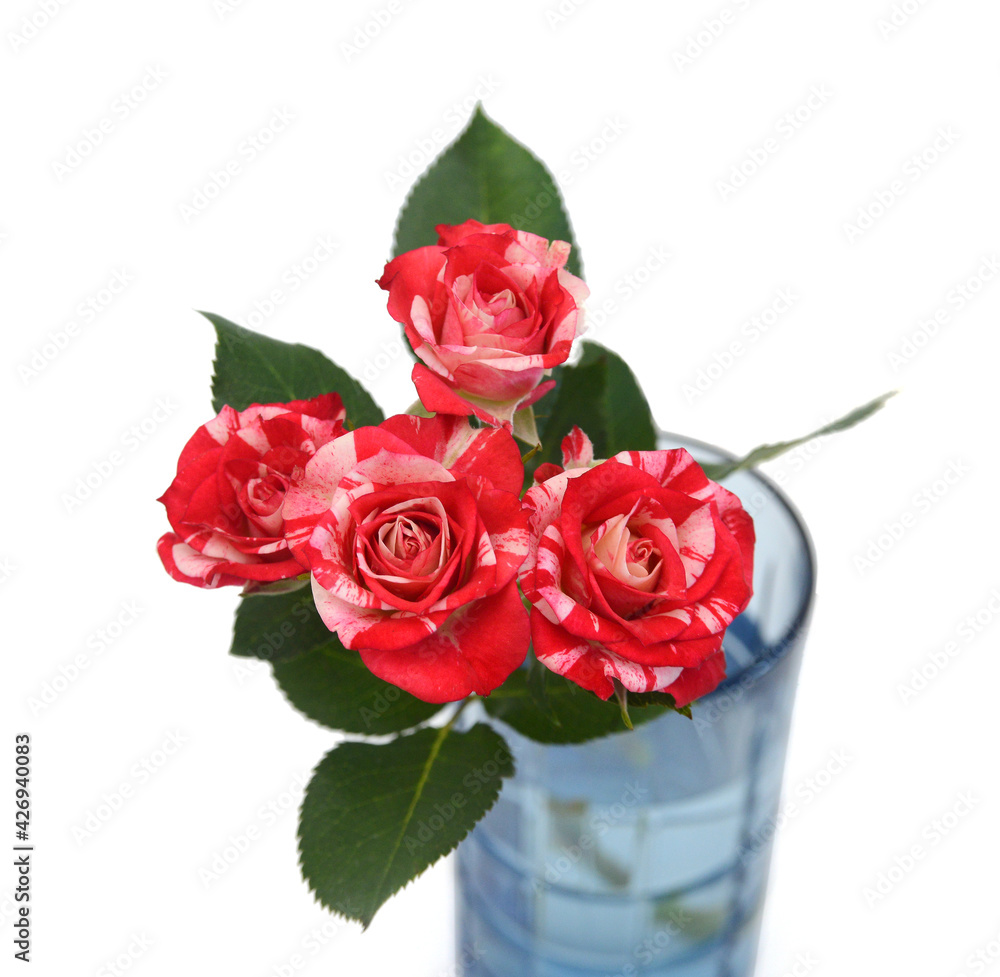 Bunch of rosy roses isolated on white Bunch of rosy roses isolated on white