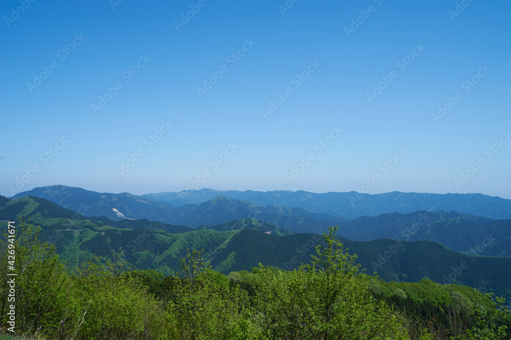 棒ノ折山、登山道 棒ノ折山、登山道
