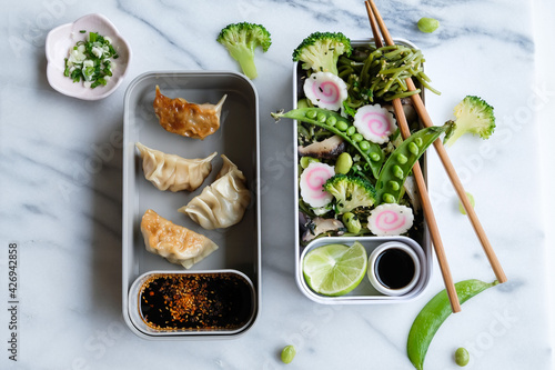 Homemade Japanese meal / Stir Fried Chasoba with Gyoza Bento / Delicious and healthy for a clean living lifestyle photo