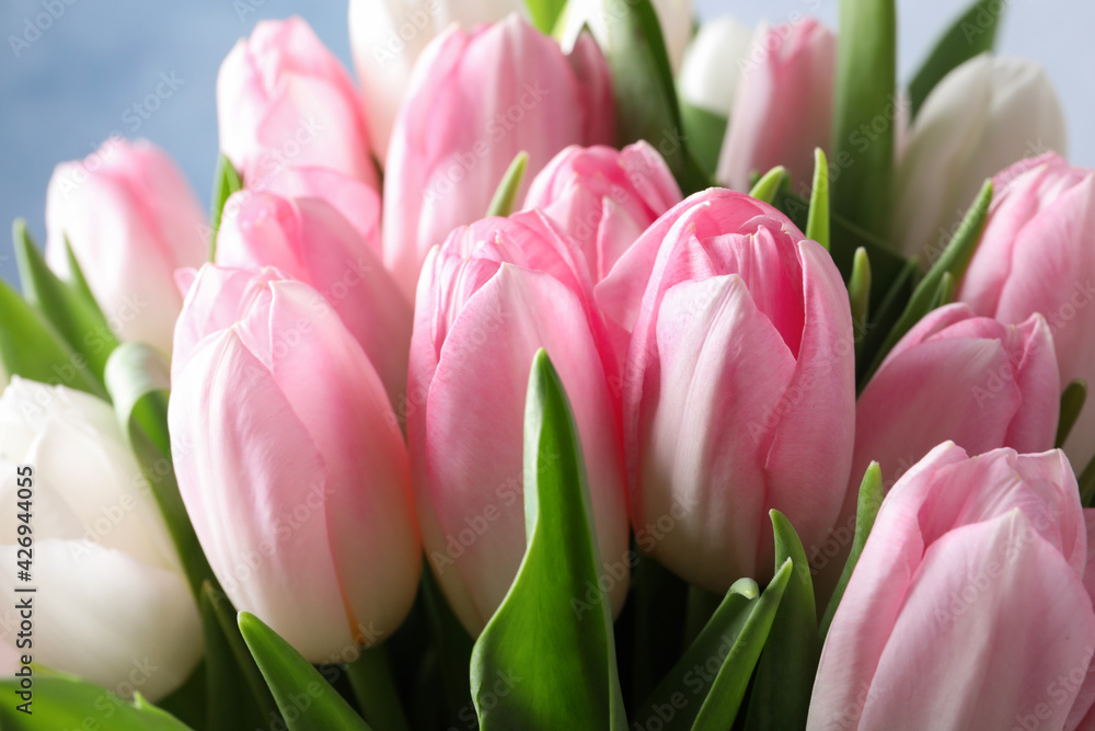 Obraz premium Big bouquet of beautiful tulips, closeup view