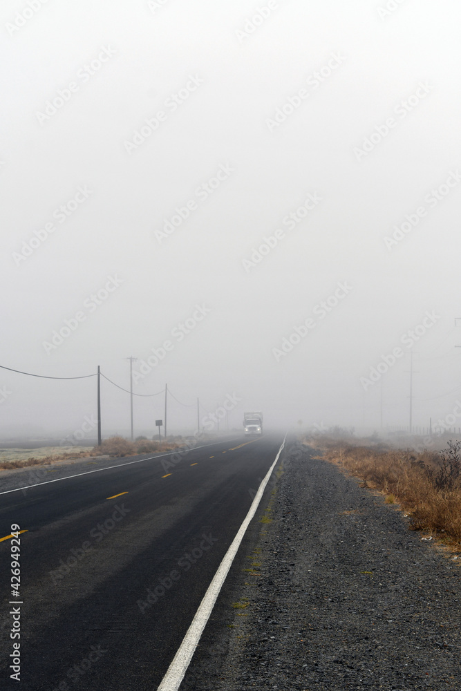 vertical shot of an empty road during fog vertical shot of an empty road during fog