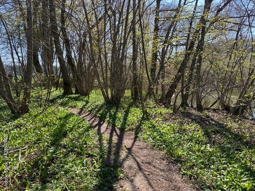 Recreational trails and promenades along the Lake Mauensee or Lake Mauen (Mauesee) - Canton of Lucerne, Switzerland (Schweiz) photo