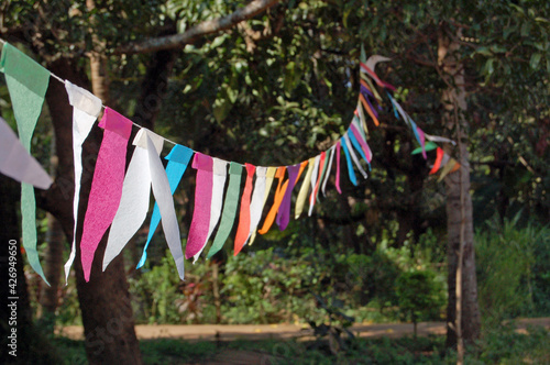 Bunting in the sunshine