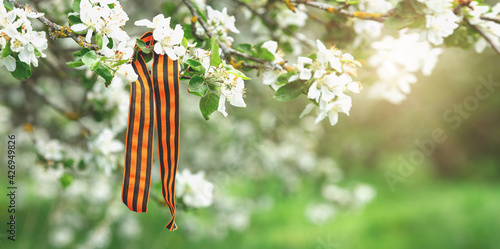 St. George's ribbon on blooming apple branch with sun rays. Symbol of Victory Day 1945 - Image photo