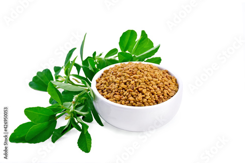 Fenugreek with green leaves in bowl photo