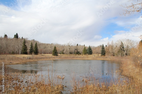 Melted Pond, Gold Bar Park, Edmonton, Alberta