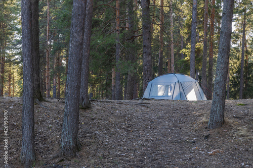 Tourist tent in a pine forest. Camping. Tourists rest in the forest in early spring.