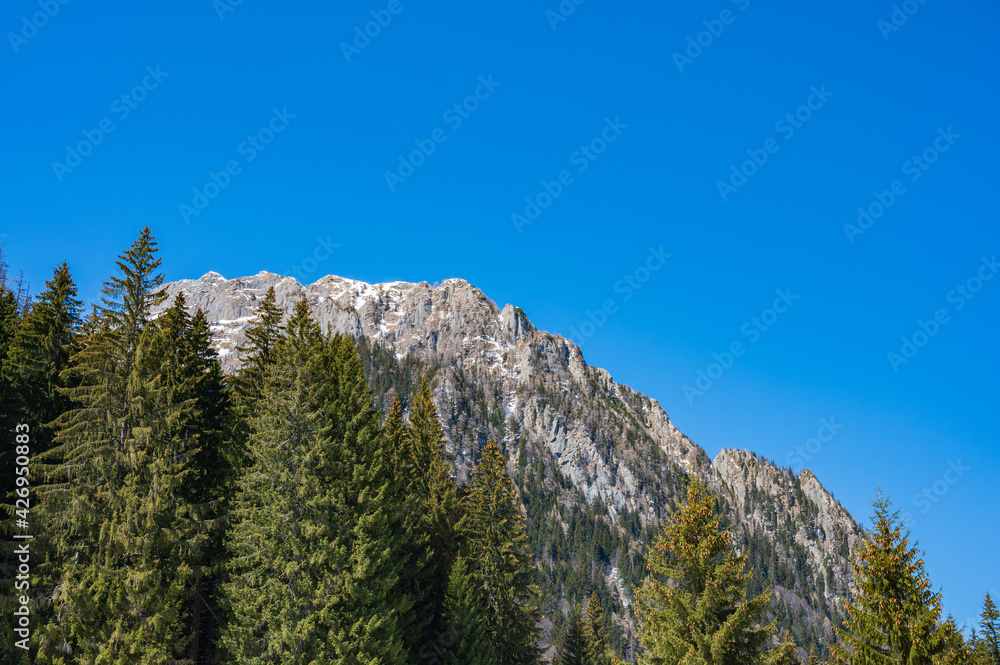 High-rising rock in Bucegi mountain range in Romanian Carpathian mountains
