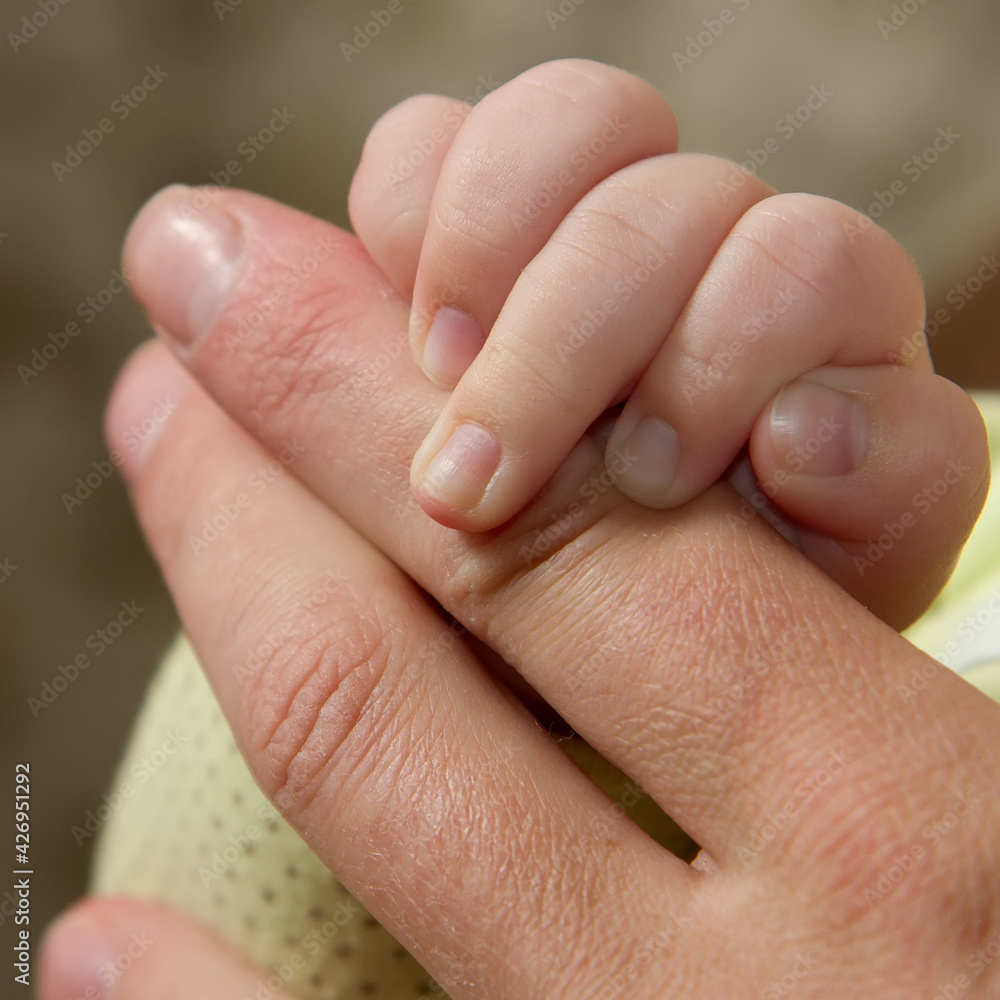 Fingers of a child and an adult. A small child holds his mother by the finger. Human hands close up.
Fingers of a child and an adult. A small child holds his mother by the finger. Human hands close up.