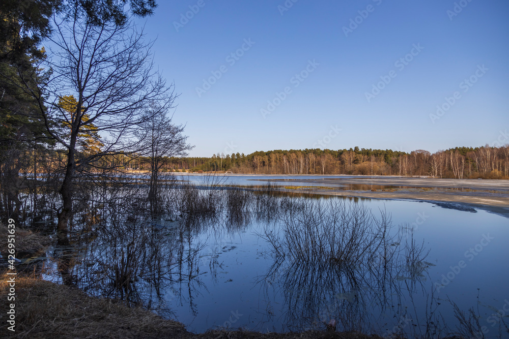 Spring flood. High water level in early spring. Trees lit by the sun in the background. Spring flood. High water level in early spring. Trees lit by the sun in the background.
