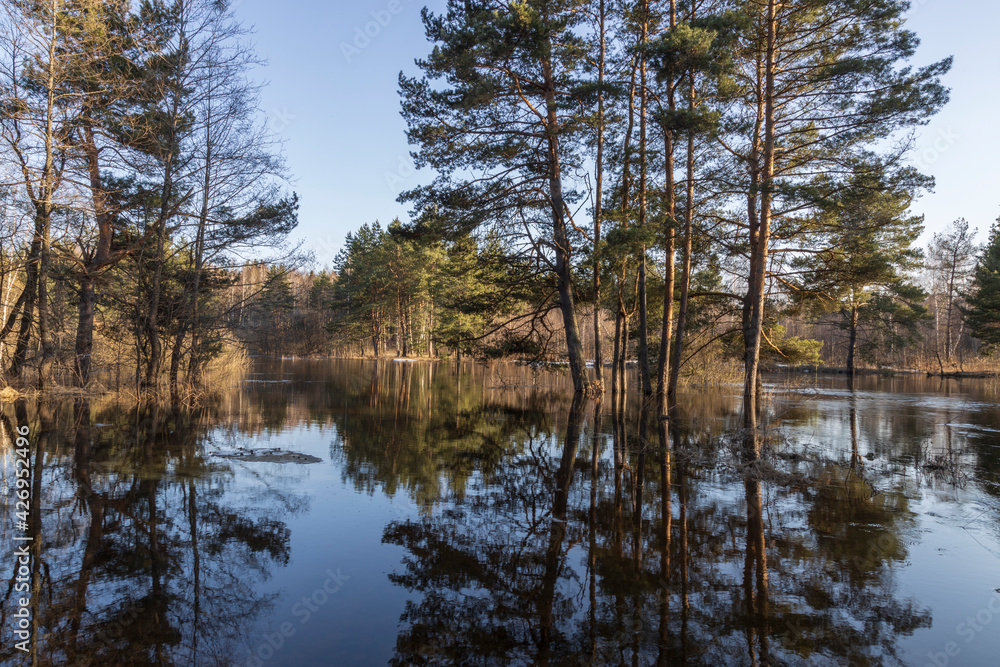 Trees and blue sky are reflected in the river. Spring flood. High water level in early spring. Trees are in the water. Trees and blue sky are reflected in the river. Spring flood. High water level in early spring. Trees are in the water.