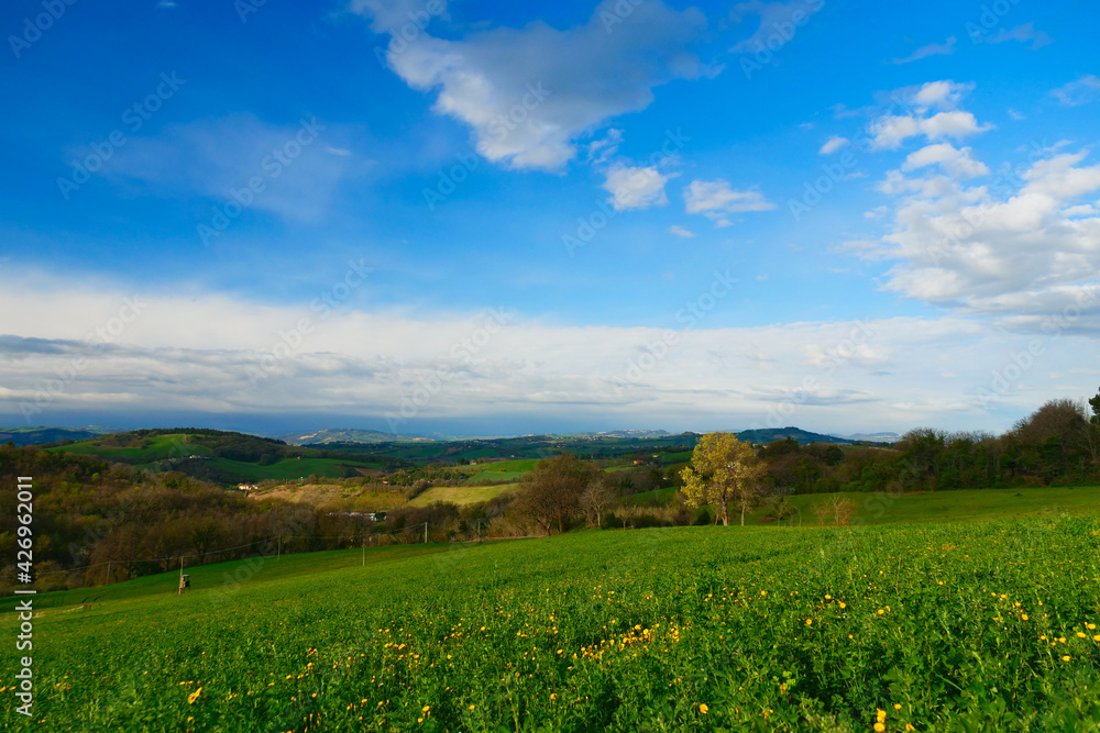 Spring landscape with green field and blue sky with few clouds