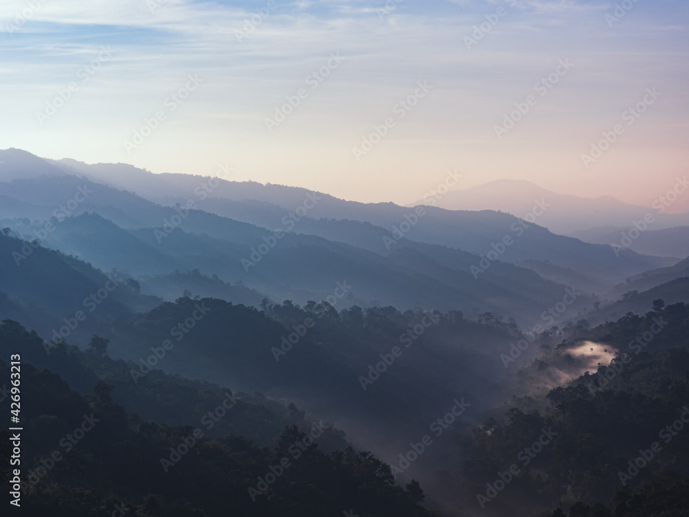 Fototapeta premium beautiful landscape nature of rain forest and mountain. abundance evergreen forest and foggy. tropical forest of thailand.