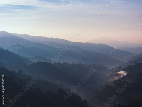 beautiful landscape nature of rain forest and mountain. abundance evergreen forest and foggy. tropical forest of thailand.