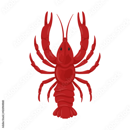 Boiled fresh red river crayfish with pincers. A crustacean animal. Food ingredient, delicacy. Flat cartoon vector illustration isolated on a white background.