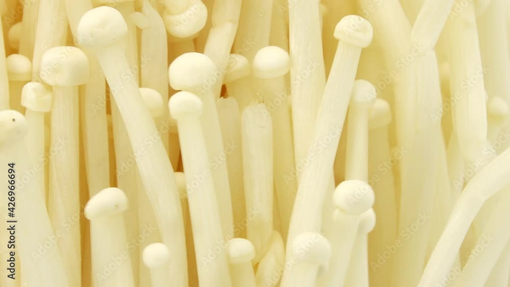 Organic enoki mushroom closeup food shot closeup rotating isolated on white background 4K camera Organic enoki mushroom closeup food shot closeup rotating isolated on white background 4K camera