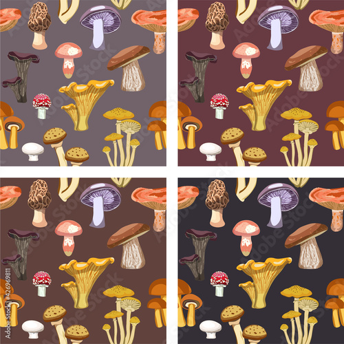 Set of 4 Realistic Fungi Mushrooms  Seamless Pattern Background
