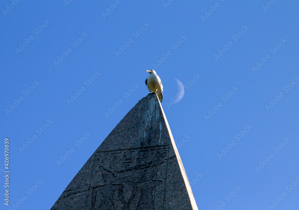 Brought to the Constantinople at 4th century A.D., Obelisk of