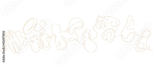 Vector  Seamless patterns with  Various Nuts and Seeds. Border with almond, cashew, peanut, walnut, pistachio isolated on white background.