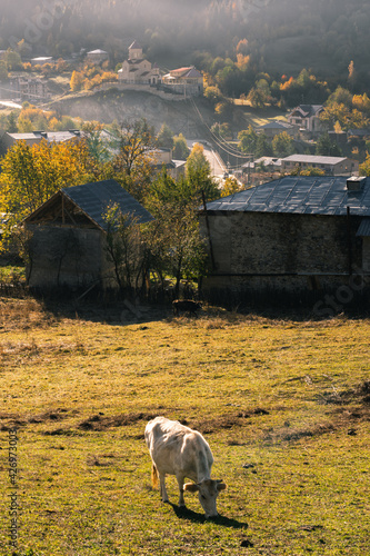 Mestia village landscape, popular tourist destination in Georgia photo