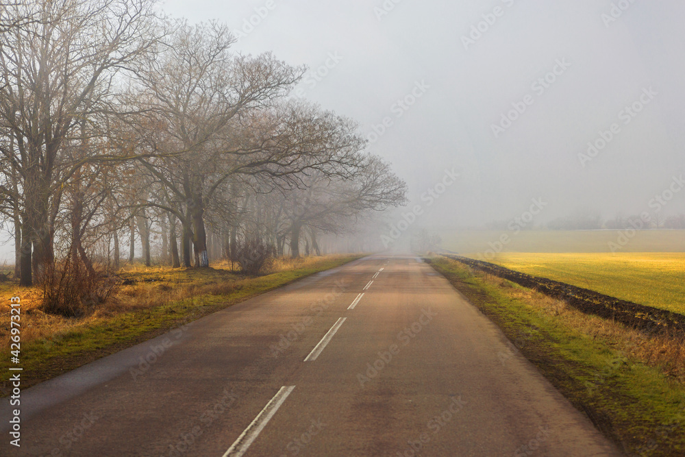 Morning empty road in fog. Spring, autumn