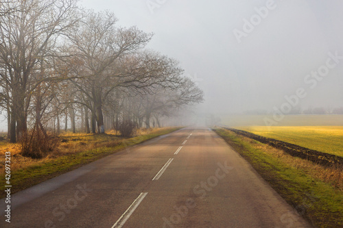 Morning empty road in fog. Spring, autumn