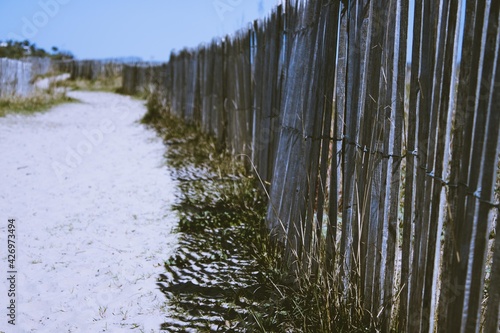 Wood fence in the beach