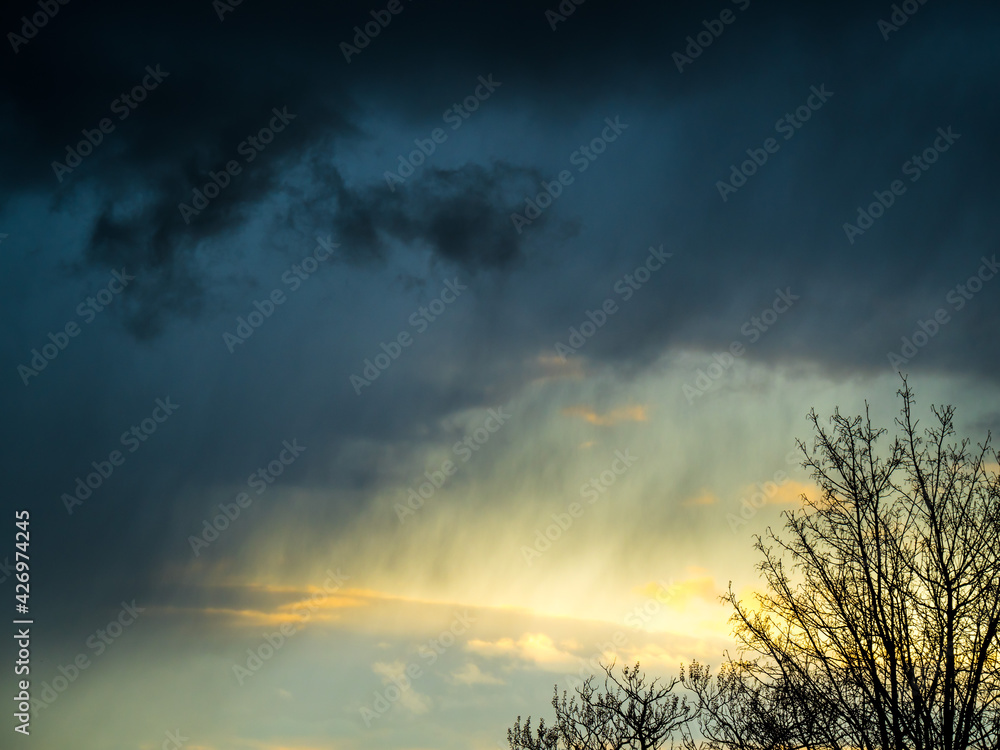 Fototapeta premium Sunset shining through dark rain clouds, tree in foreground 