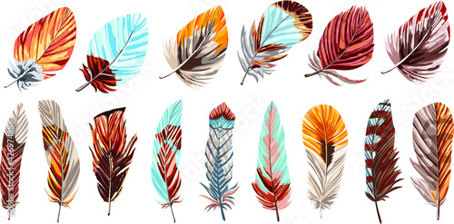 Vector Feather Set on White background. Decoration illustration