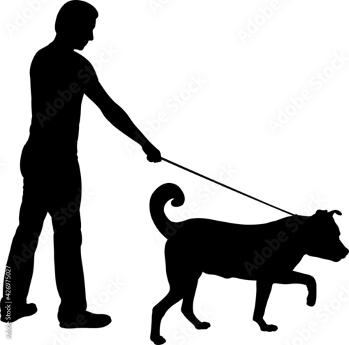 silhouette of man walking a dog