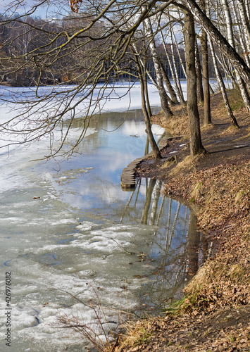 Fototapeta Naklejka Na Ścianę i Meble -  Melted ice near the shore of the pond.