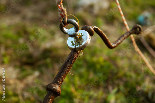 Findings of magnetic fishing. The search magnet pulled out something iron. photo