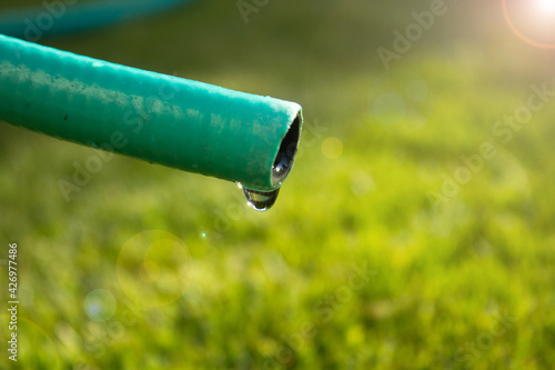 Close up of a drop of water resisting falling from the tip of a hose to green grass under sun.