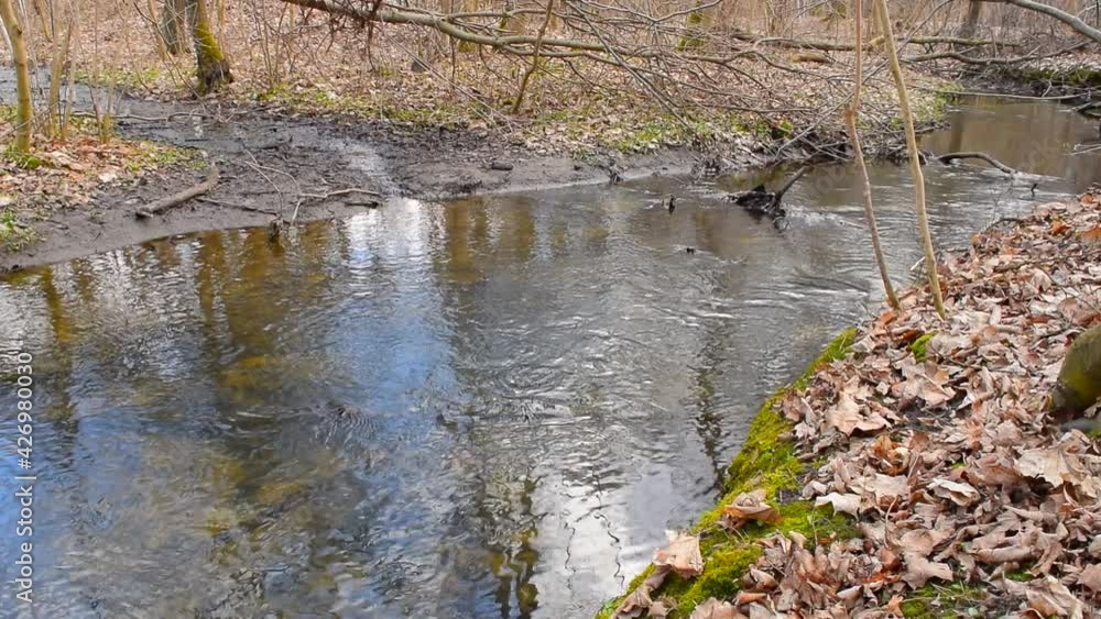 Water flow in a small river in an old park. Water flow in a small river in an old park.