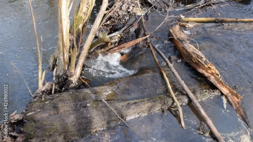 Water flow in a small river in an old park.