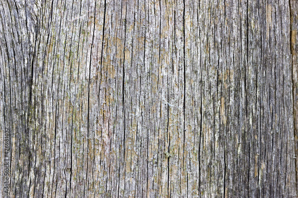 Detail of heavily weathered wood showing cracking along the grain